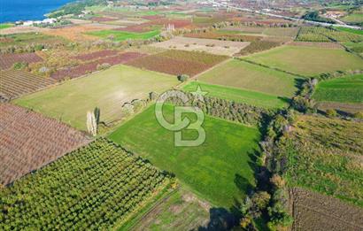 ÇANAKKALE MERKEZ YAPILDAK KÖYÜ 11.516 M² SATILIK TARLA
