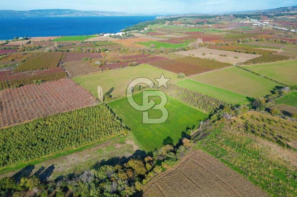 ÇANAKKALE MERKEZ YAPILDAK KÖYÜ 11.516 M² SATILIK TARLA