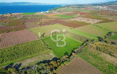 ÇANAKKALE MERKEZ YAPILDAK KÖYÜ 11.516 M² SATILIK TARLA