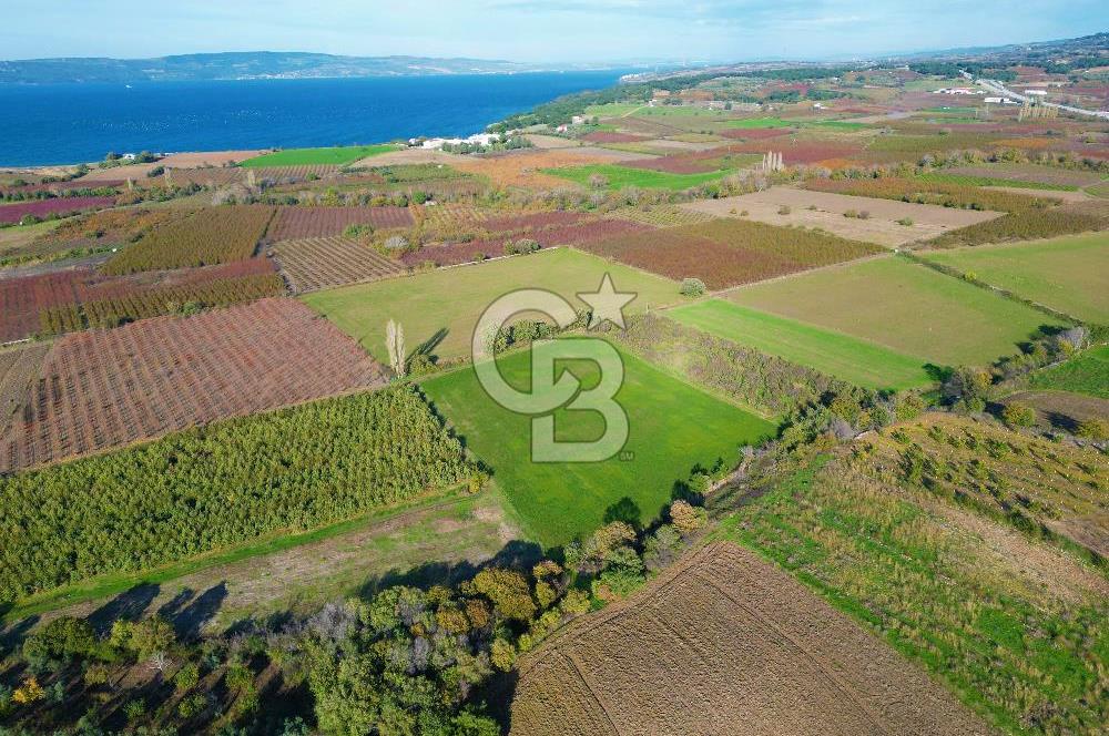 ÇANAKKALE MERKEZ YAPILDAK KÖYÜ 11.516 M² SATILIK TARLA