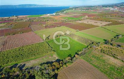 ÇANAKKALE MERKEZ YAPILDAK KÖYÜ 11.516 M² SATILIK TARLA