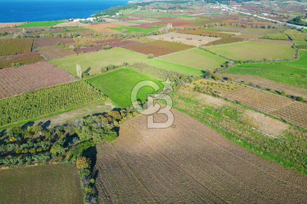 ÇANAKKALE MERKEZ YAPILDAK KÖYÜ 11.516 M² SATILIK TARLA