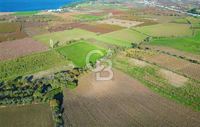 ÇANAKKALE MERKEZ YAPILDAK KÖYÜ 11.516 M² SATILIK TARLA
