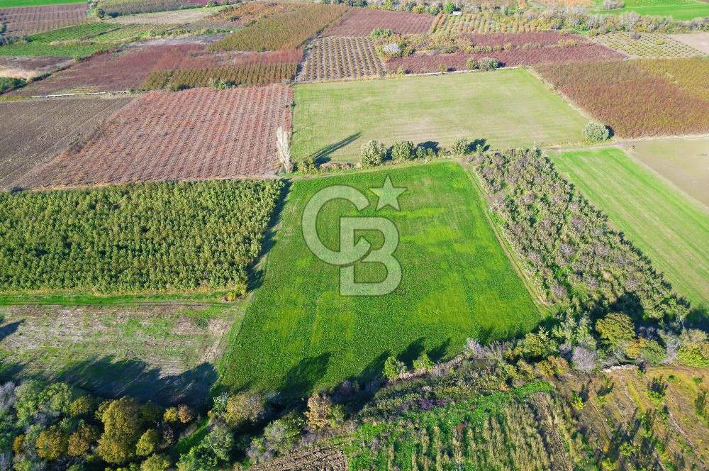 ÇANAKKALE MERKEZ YAPILDAK KÖYÜ 11.516 M² SATILIK TARLA