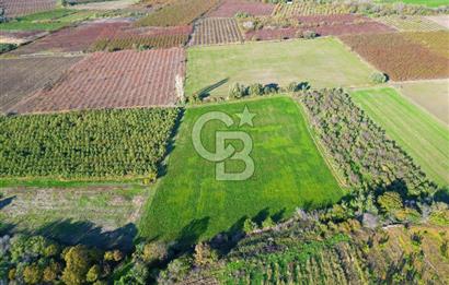 ÇANAKKALE MERKEZ YAPILDAK KÖYÜ 11.516 M² SATILIK TARLA