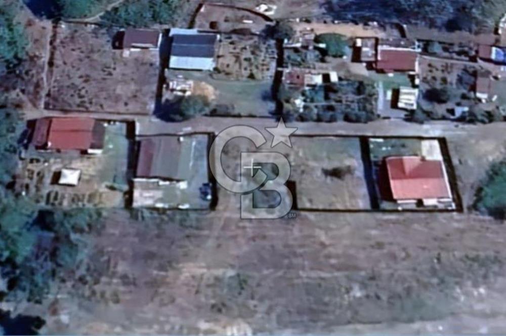 ŞİLE ALACALI'DA 250,18 m² PAYLI SATILIK TARLA