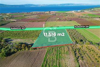 ÇANAKKALE MERKEZ YAPILDAK KÖYÜ 11.516 M² SATILIK TARLA - 1 - 320188