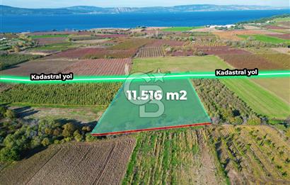 ÇANAKKALE MERKEZ YAPILDAK KÖYÜ 11.516 M² SATILIK TARLA