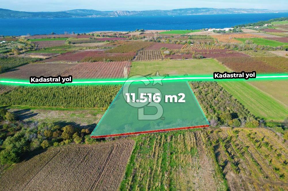 ÇANAKKALE MERKEZ YAPILDAK KÖYÜ 11.516 M² SATILIK TARLA