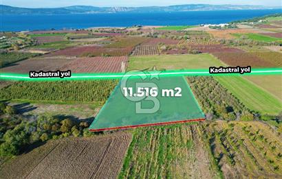 ÇANAKKALE MERKEZ YAPILDAK KÖYÜ 11.516 M² SATILIK TARLA