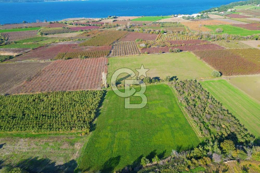 ÇANAKKALE MERKEZ YAPILDAK KÖYÜ 11.516 M² SATILIK TARLA
