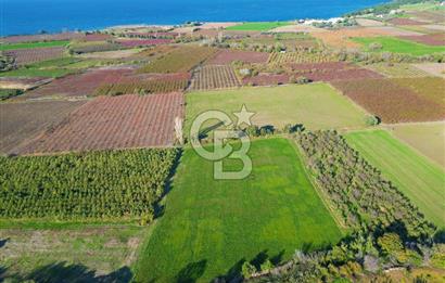 ÇANAKKALE MERKEZ YAPILDAK KÖYÜ 11.516 M² SATILIK TARLA