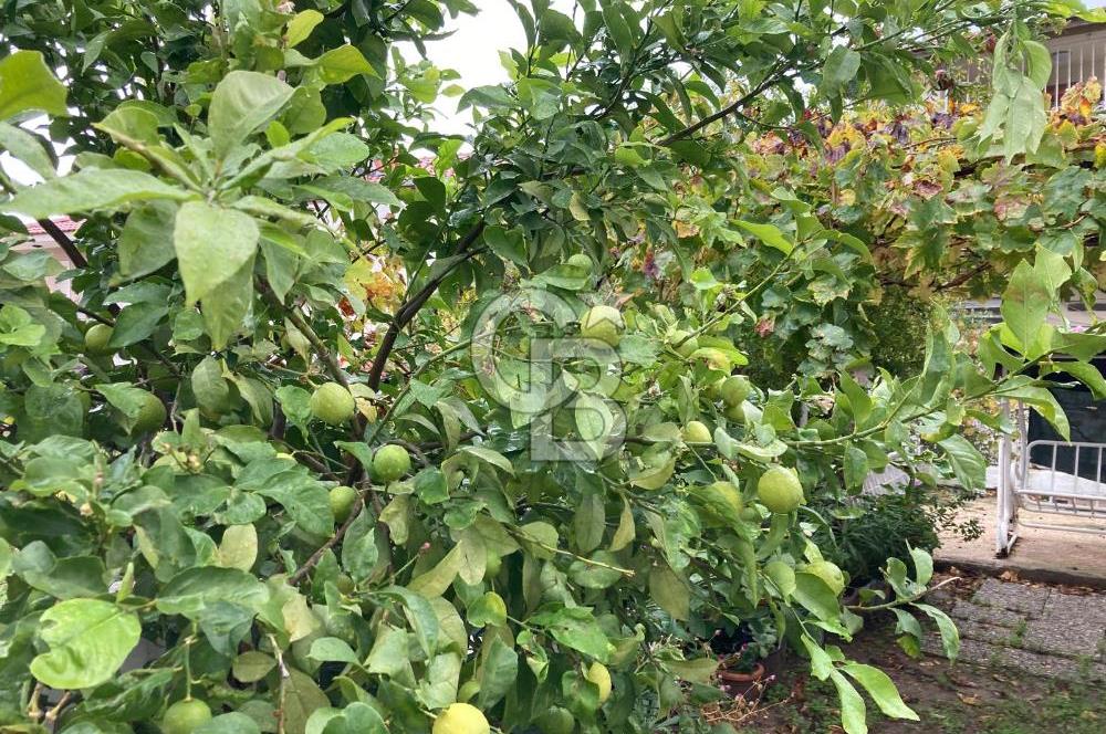 CB SMYRNA' DAN ALAÇATI' NIN KALBİNDE SATILIK MÜSTAKİL EV