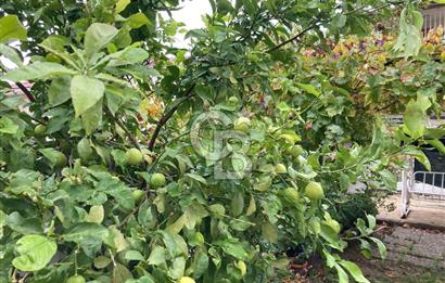 CB SMYRNA' DAN ALAÇATI' NIN KALBİNDE SATILIK MÜSTAKİL EV