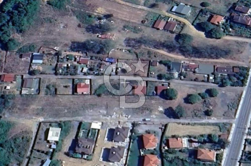 ŞİLE ALACALI'DA 250,18 m² PAYLI SATILIK TARLA