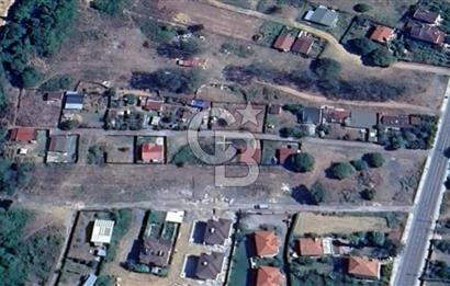 ŞİLE ALACALI'DA 250,18 m² PAYLI SATILIK TARLA