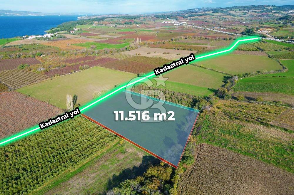 ÇANAKKALE MERKEZ YAPILDAK KÖYÜ 11.516 M² SATILIK TARLA