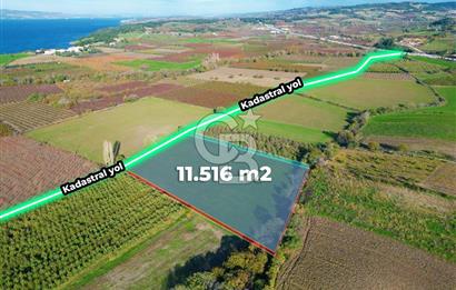 ÇANAKKALE MERKEZ YAPILDAK KÖYÜ 11.516 M² SATILIK TARLA