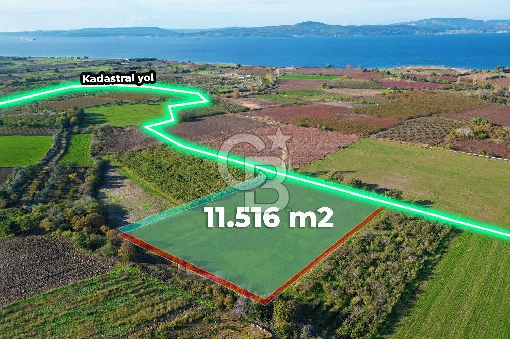 ÇANAKKALE MERKEZ YAPILDAK KÖYÜ 11.516 M² SATILIK TARLA