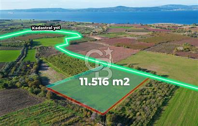 ÇANAKKALE MERKEZ YAPILDAK KÖYÜ 11.516 M² SATILIK TARLA