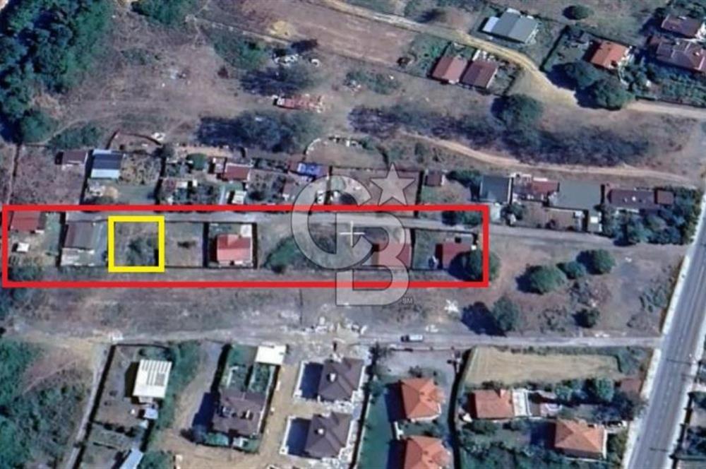 ŞİLE ALACALI'DA 250,18 m² PAYLI SATILIK TARLA