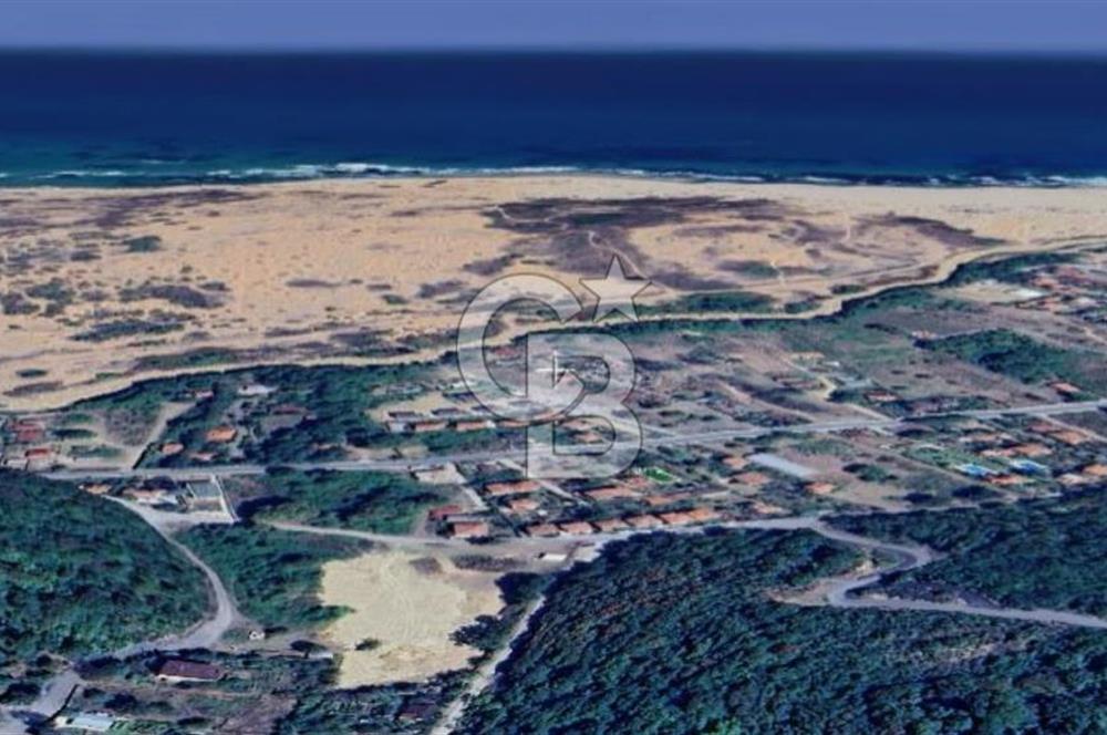 ŞİLE ALACALI'DA 250,18 m² PAYLI SATILIK TARLA