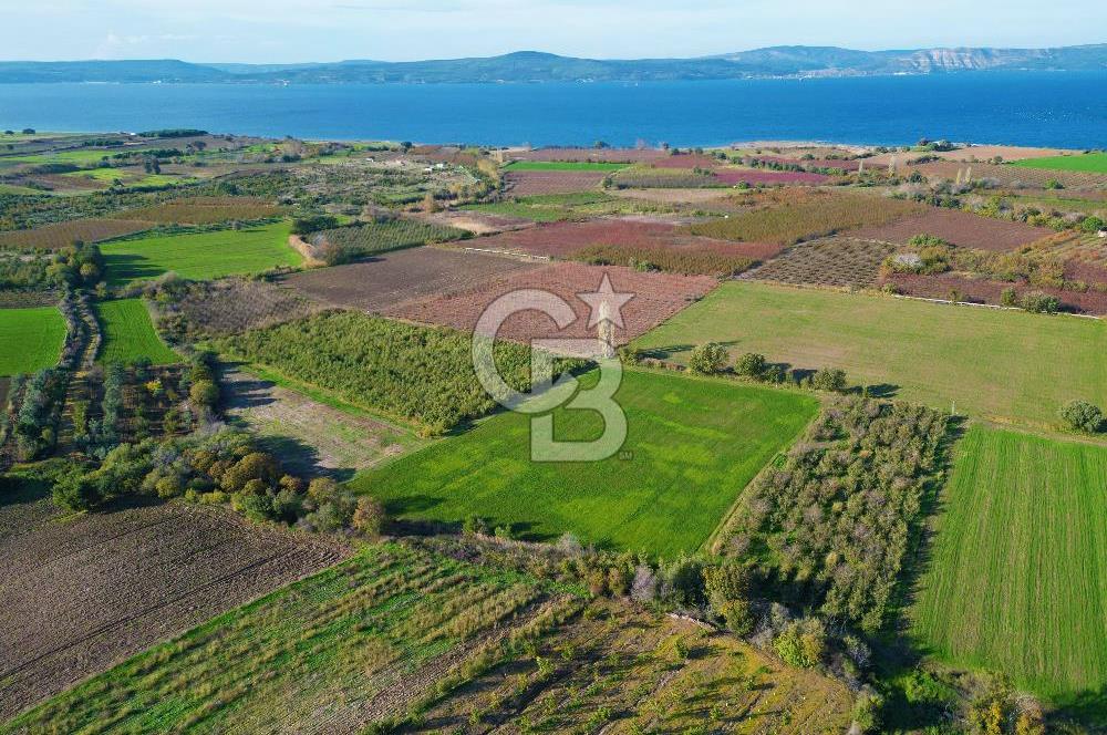 ÇANAKKALE MERKEZ YAPILDAK KÖYÜ 11.516 M² SATILIK TARLA