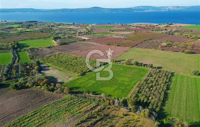 ÇANAKKALE MERKEZ YAPILDAK KÖYÜ 11.516 M² SATILIK TARLA