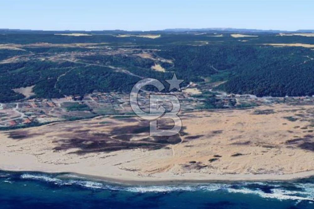 ŞİLE ALACALI'DA 250,18 m² PAYLI SATILIK TARLA