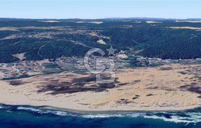 ŞİLE ALACALI'DA 250,18 m² PAYLI SATILIK TARLA