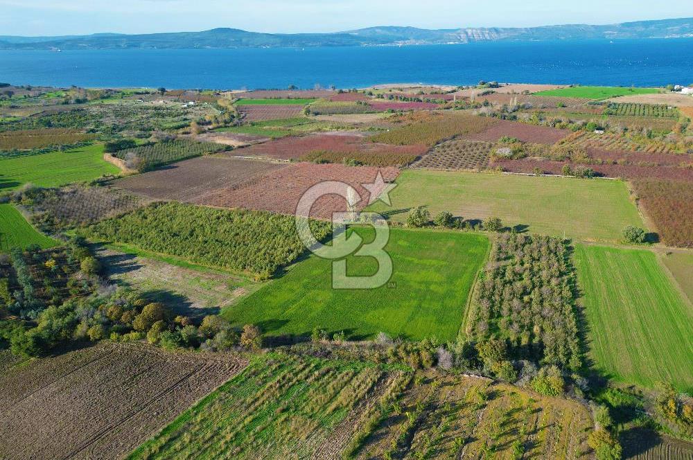 ÇANAKKALE MERKEZ YAPILDAK KÖYÜ 11.516 M² SATILIK TARLA