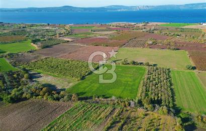 ÇANAKKALE MERKEZ YAPILDAK KÖYÜ 11.516 M² SATILIK TARLA