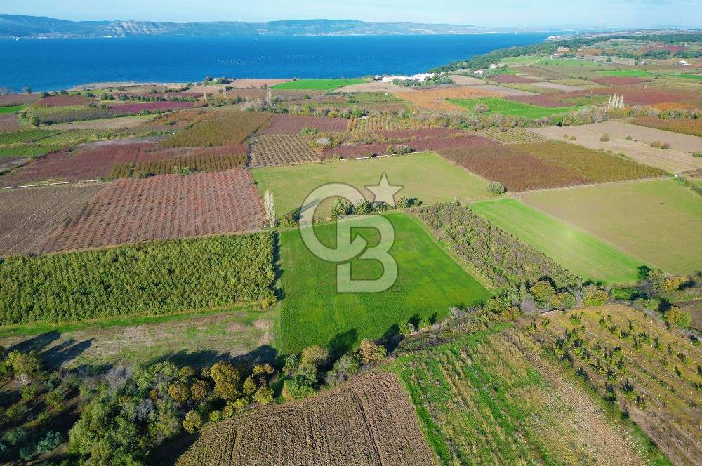 ÇANAKKALE MERKEZ YAPILDAK KÖYÜ 11.516 M² SATILIK TARLA
