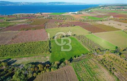 ÇANAKKALE MERKEZ YAPILDAK KÖYÜ 11.516 M² SATILIK TARLA