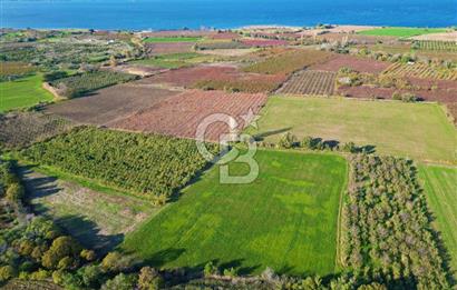 ÇANAKKALE MERKEZ YAPILDAK KÖYÜ 11.516 M² SATILIK TARLA