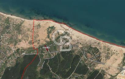 ŞİLE ALACALI'DA 250,18 m² PAYLI SATILIK TARLA