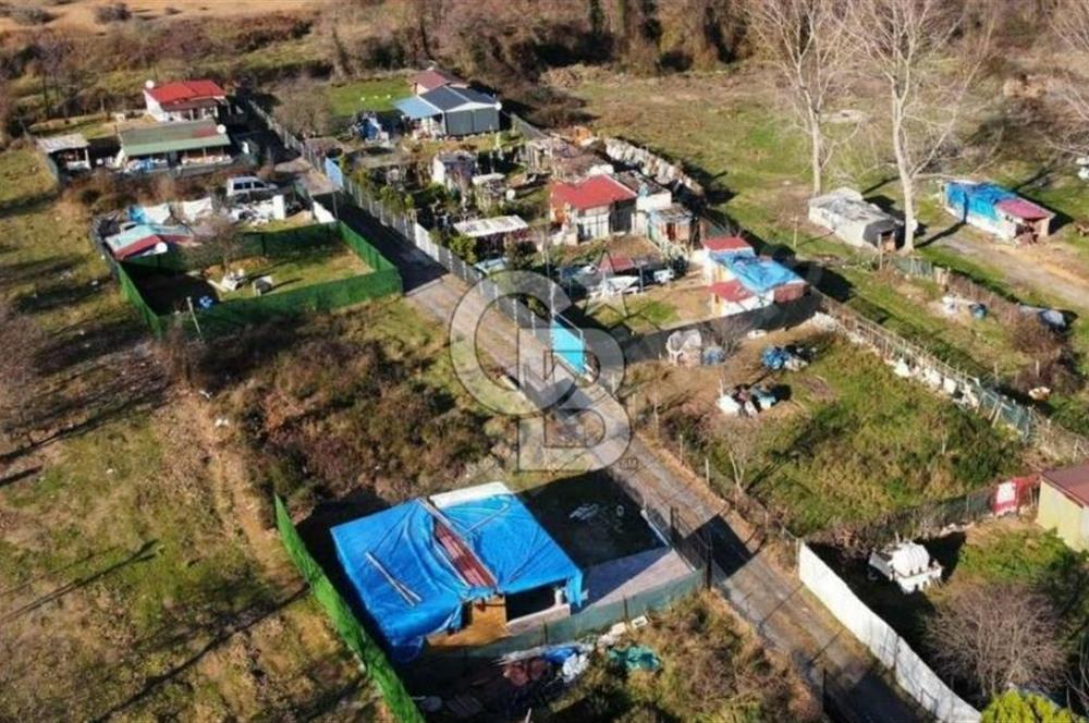 ŞİLE ALACALI'DA 250,18 m² PAYLI SATILIK TARLA