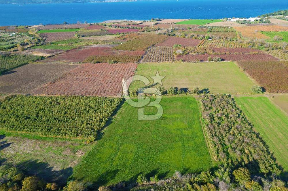 ÇANAKKALE MERKEZ YAPILDAK KÖYÜ 11.516 M² SATILIK TARLA