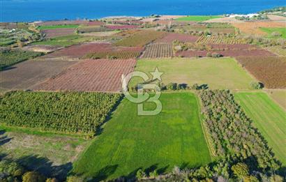 ÇANAKKALE MERKEZ YAPILDAK KÖYÜ 11.516 M² SATILIK TARLA