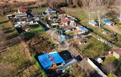 ŞİLE ALACALI'DA 250,18 m² PAYLI SATILIK TARLA