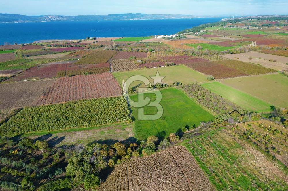 ÇANAKKALE MERKEZ YAPILDAK KÖYÜ 11.516 M² SATILIK TARLA