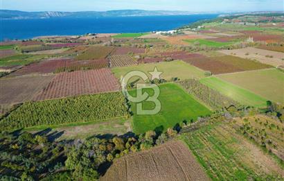 ÇANAKKALE MERKEZ YAPILDAK KÖYÜ 11.516 M² SATILIK TARLA