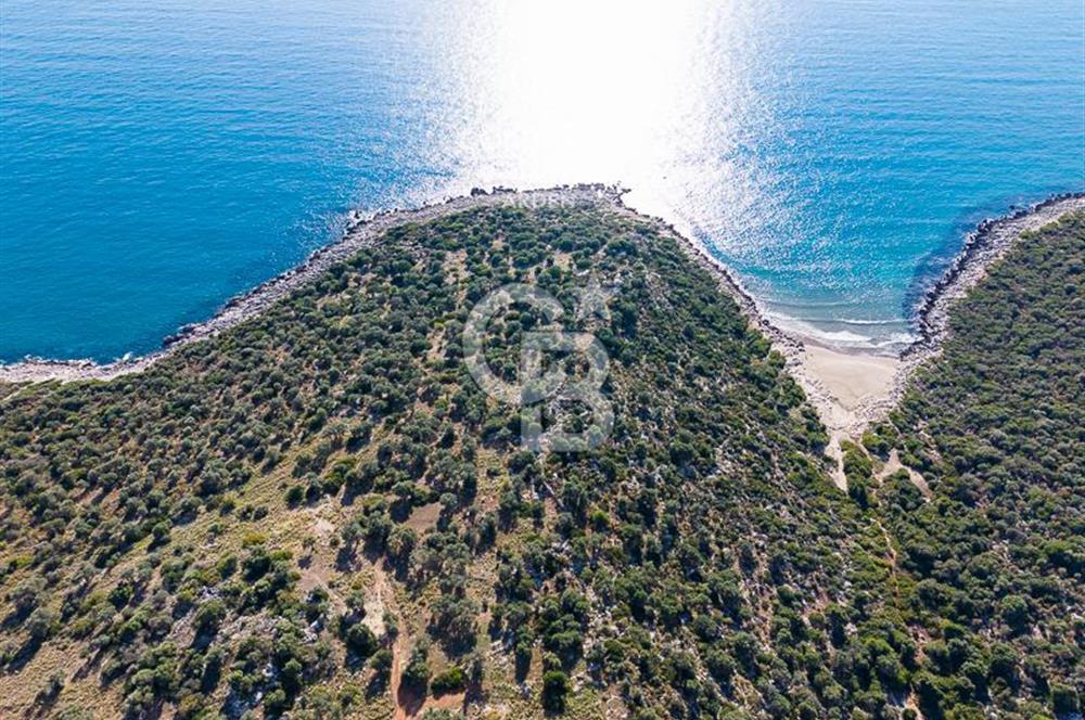 CB ARDEN den DEMRE KUMDAĞI nda DENİZ MANZARALI SATILIK ARSALAR