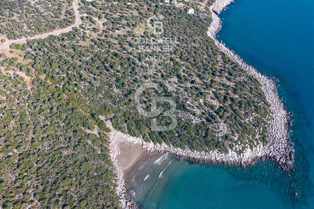 CB ARDEN den DEMRE KUMDAĞI nda DENİZ MANZARALI SATILIK ARSALAR