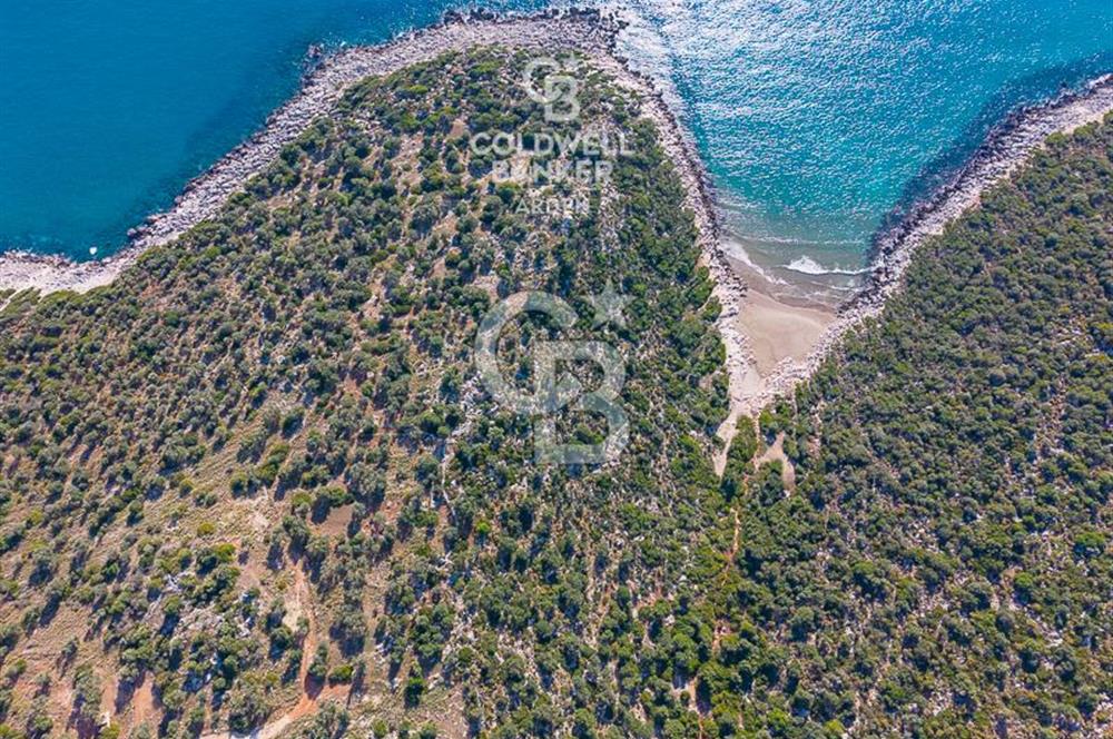 CB ARDEN den DEMRE KUMDAĞI nda DENİZ MANZARALI SATILIK ARSALAR