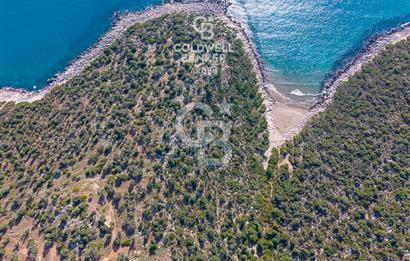 CB ARDEN den DEMRE KUMDAĞI nda DENİZ MANZARALI SATILIK ARSALAR