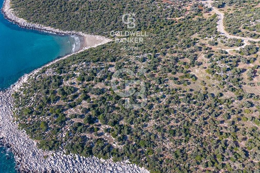 CB ARDEN den DEMRE KUMDAĞI nda DENİZ MANZARALI SATILIK ARSALAR