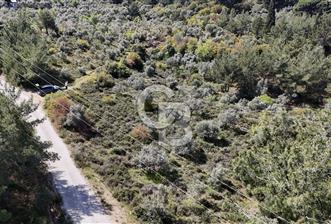 Kemalpaşa Armutlu Hürriyet Satılık T - 2 - 320217