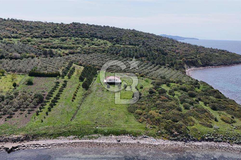 Aliağa Çaltılıdere Pınarcık'ta Denize Sıfır Müstakil 4.286 m2 Tarla 