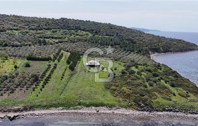 Aliağa Çaltılıdere Pınarcık'ta Denize Sıfır Müstakil 4.286 m2 Tarla 